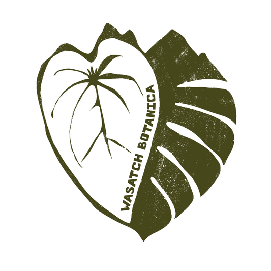 WB 2 LOGO STICKER PACK